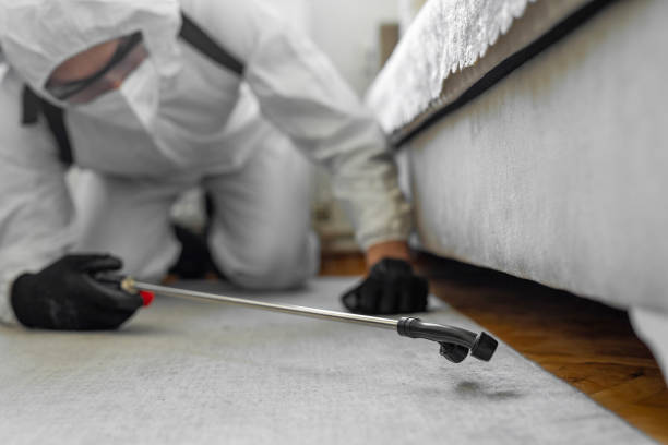 Professional Bed Bug Control technician working in Vinings, GA